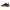 Black/Yellow